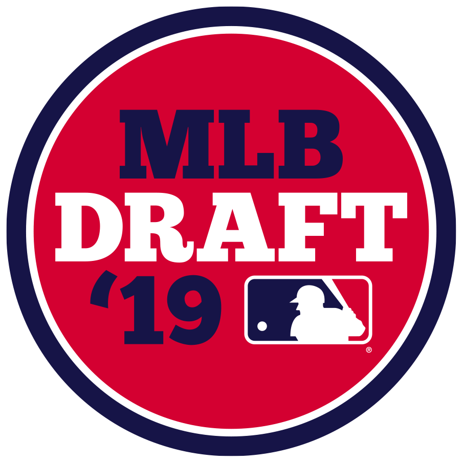 MLB Draft 2019 Primary Logo DIY iron on transfer (heat transfer)
